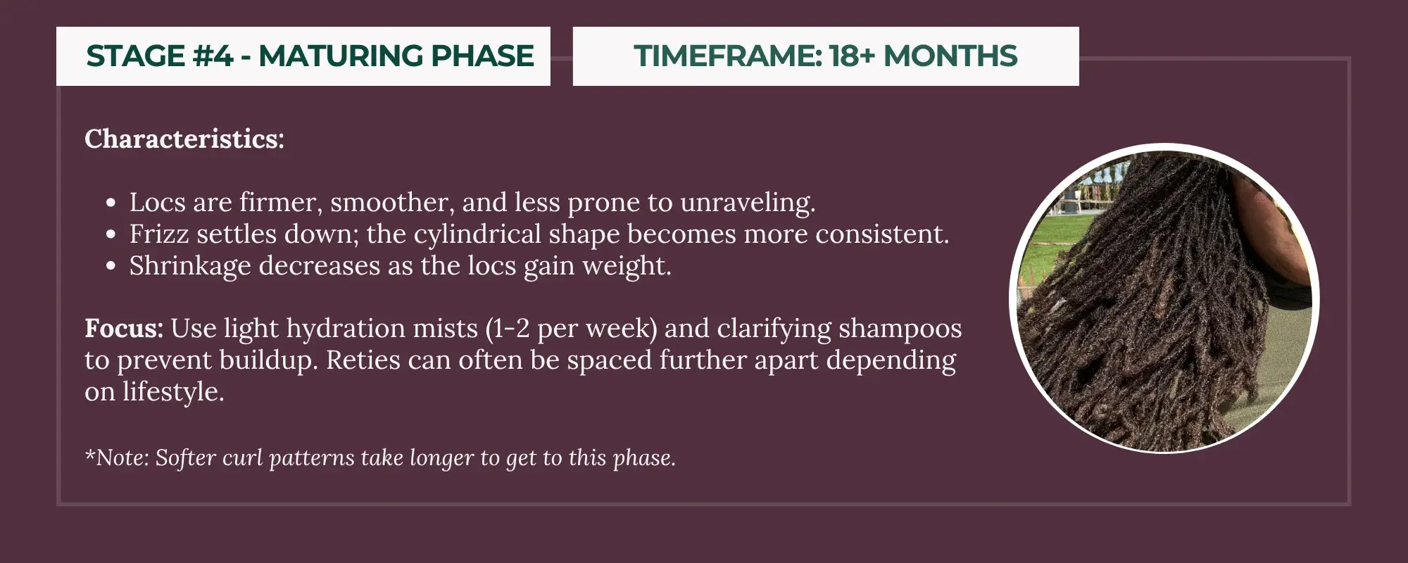 Stage 4 - Mature Phase (18+ months) infographic showing fully compressed and sealed locs