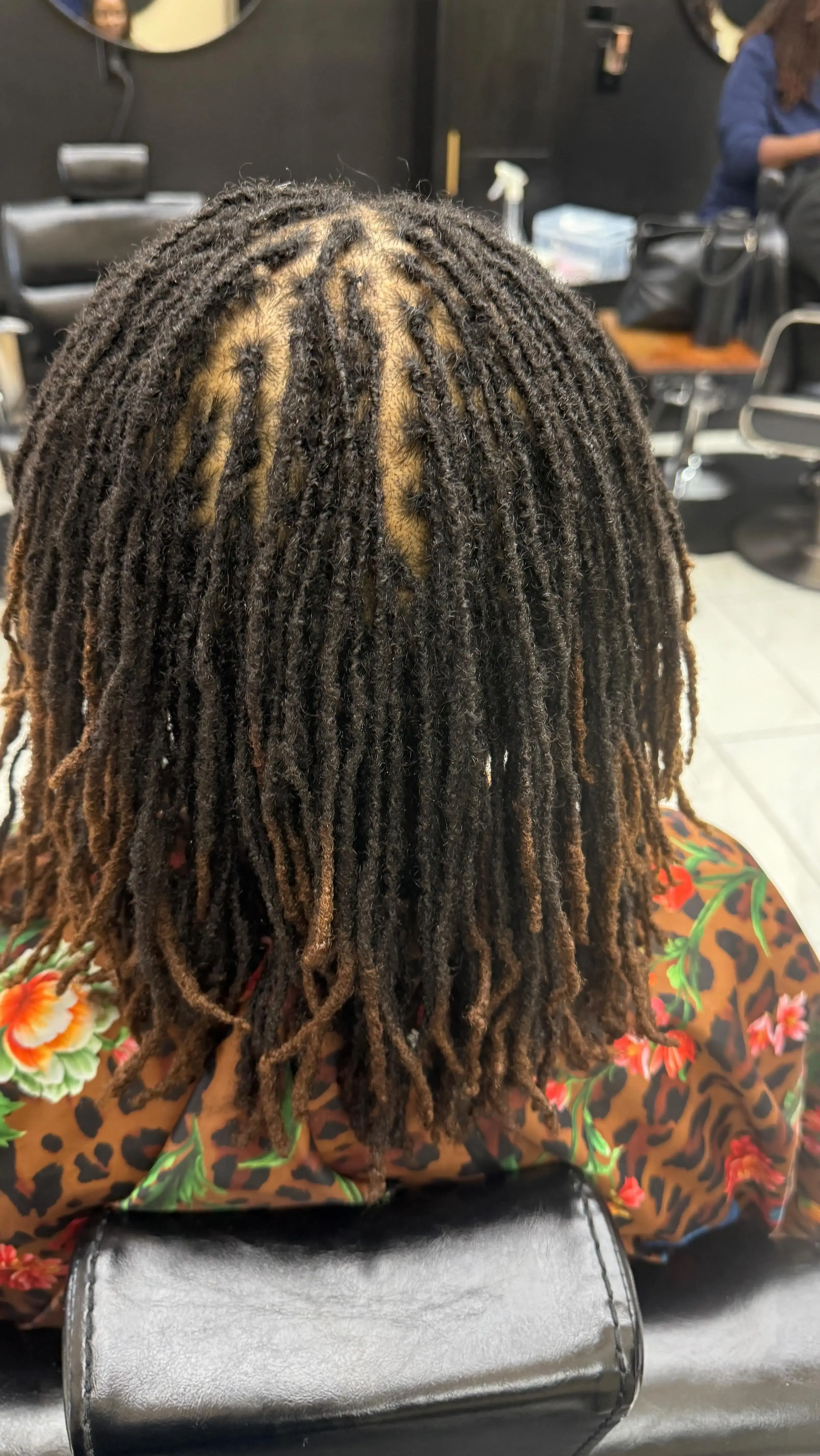 Medium-length locs with natural brown tones and beautiful loc maturation