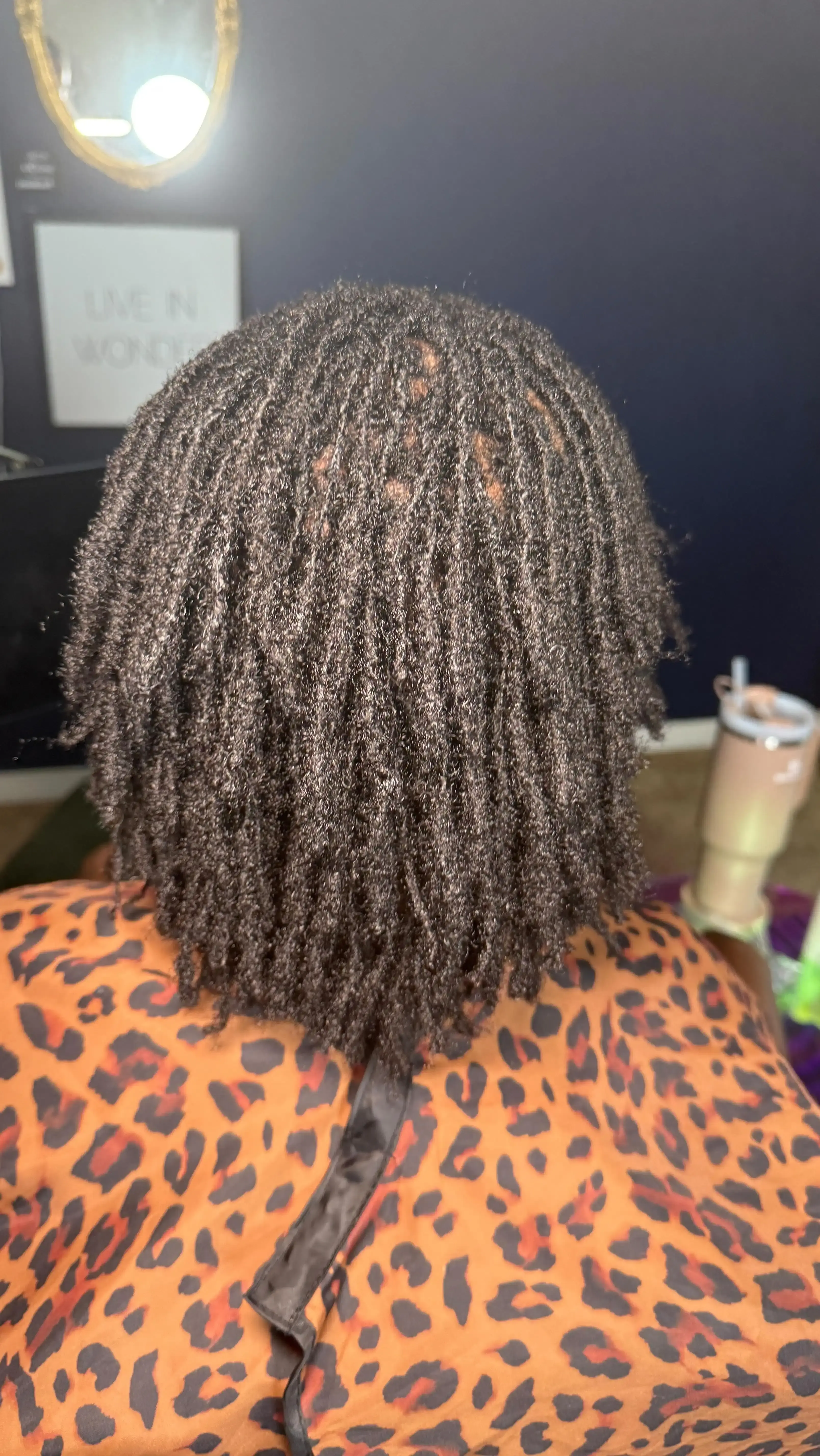 Side profile of client with beautifully maintained short microlocs and natural texture