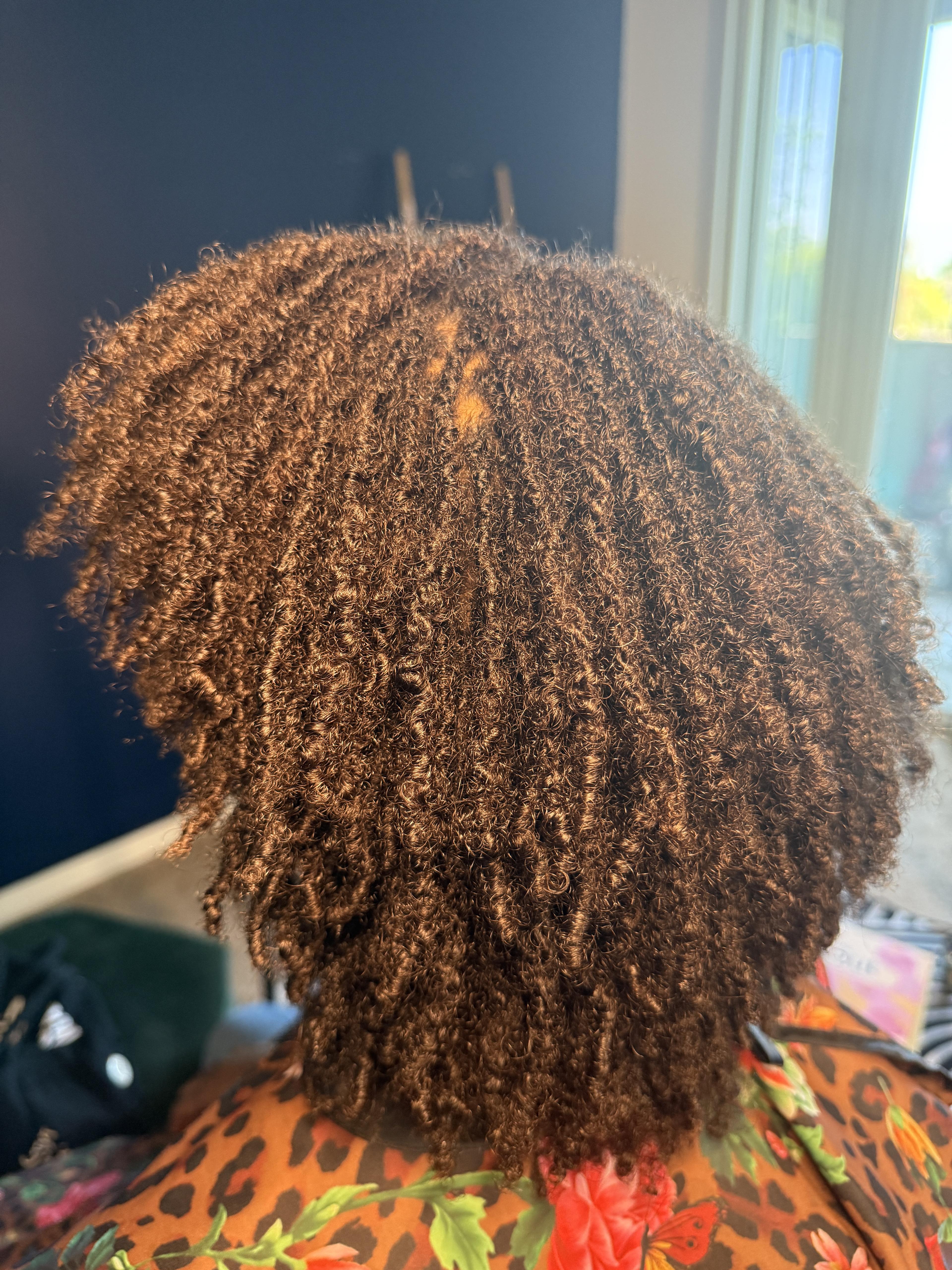Professional loc styling and maintenance results in Inglewood