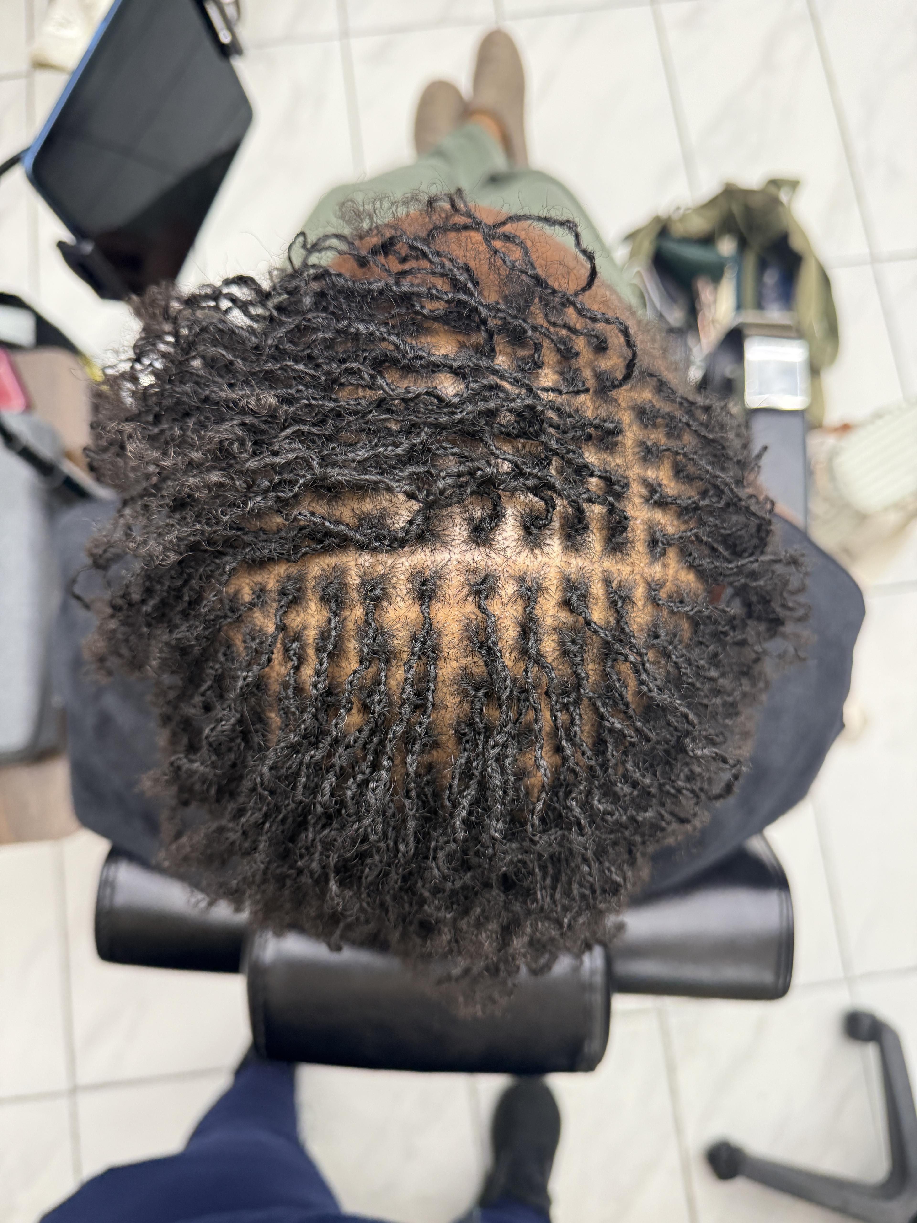 Beautifully maintained locs highlighting expert craftsmanship