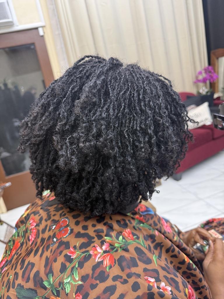 Natural loc maturation — beautiful texture and healthy shine
