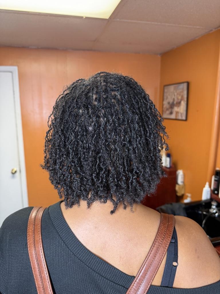 Rooted in Care, Elevated by Craft — Locs By Steph B