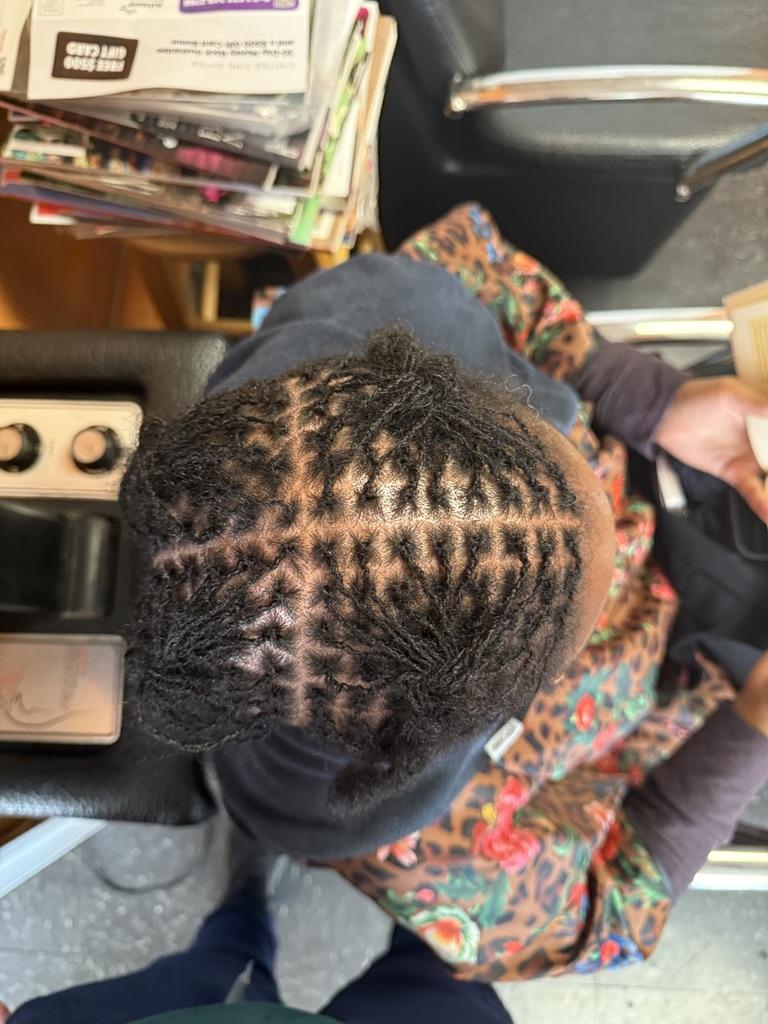 Loc texture progression — showing how locs develop and mature over time